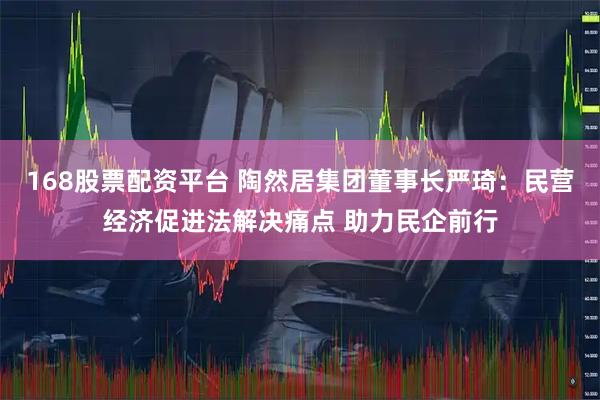 168股票配资平台 陶然居集团董事长严琦：民营经济促进法解决痛点 助力民企前行