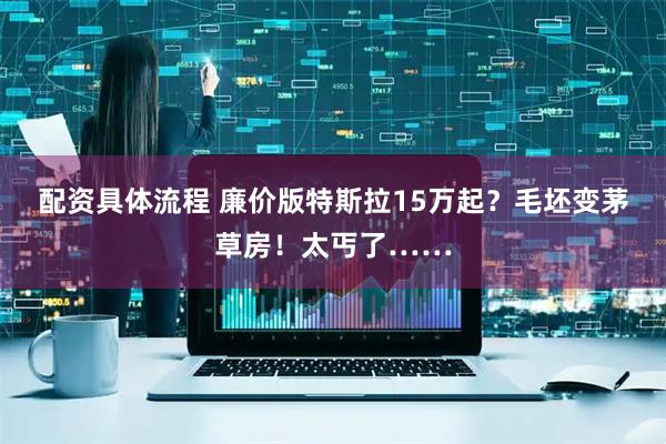 配资具体流程 廉价版特斯拉15万起？毛坯变茅草房！太丐了……
